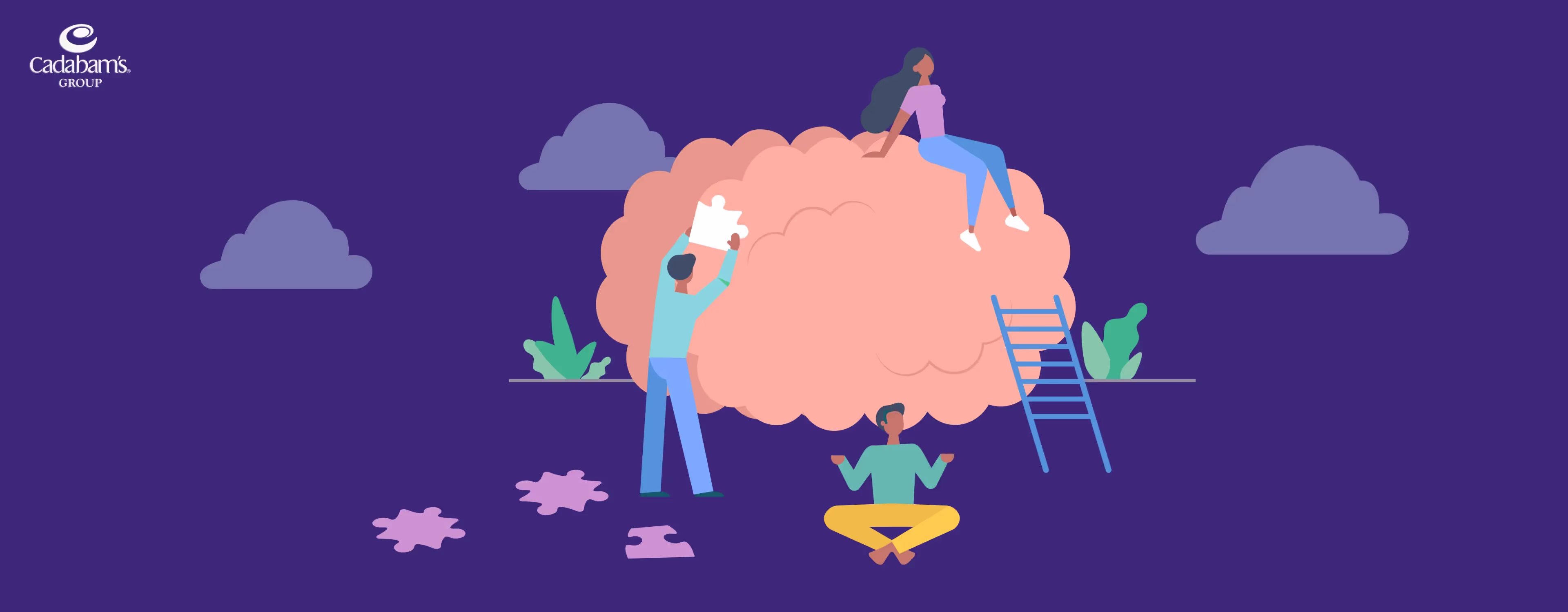 THE BASICS OF MENTAL HEALTH