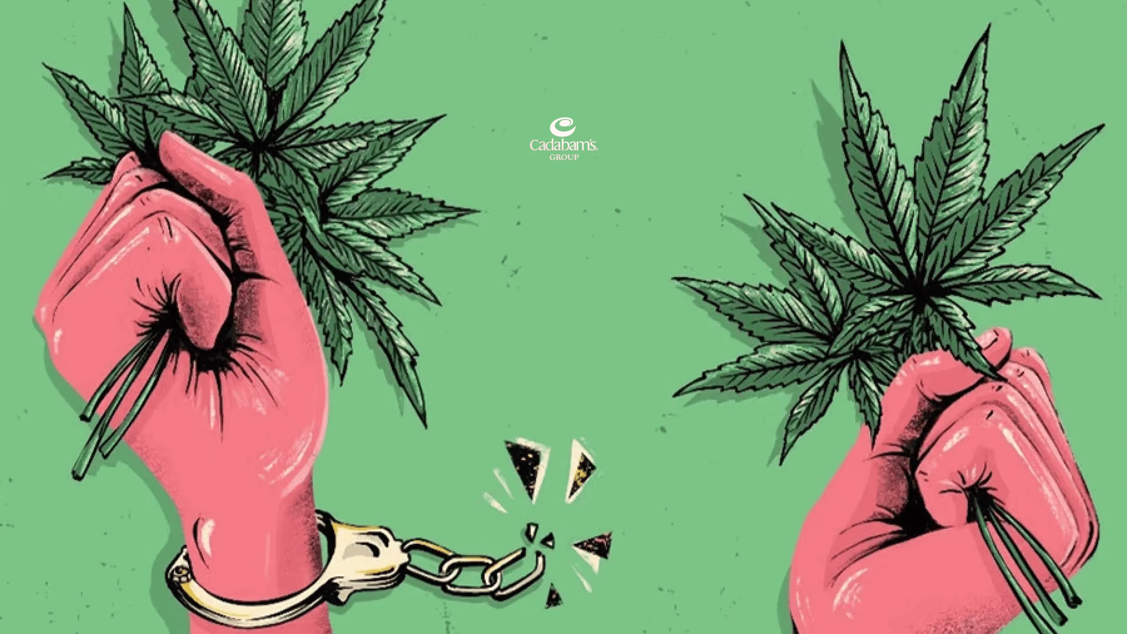This is Why Marijuana should not be Legalized in India