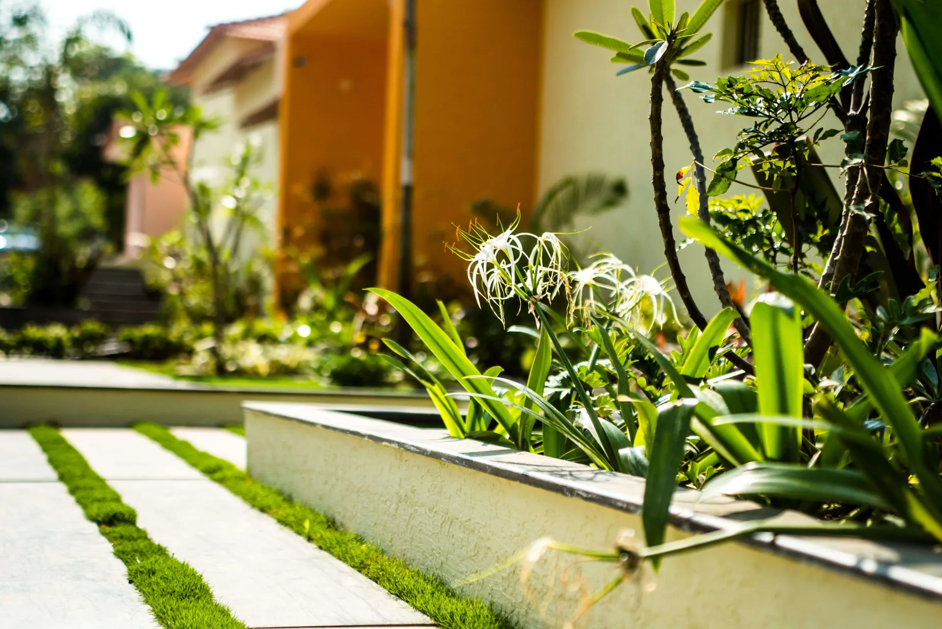 Post-Rehabilitation Care Program