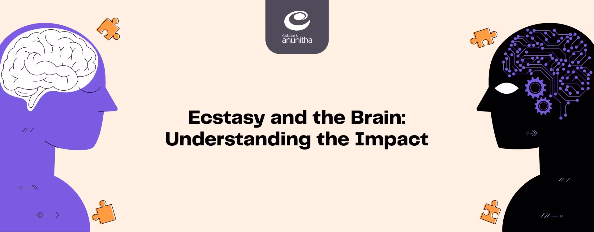 Understanding MDMA and Ecstasy Effects on the Brain