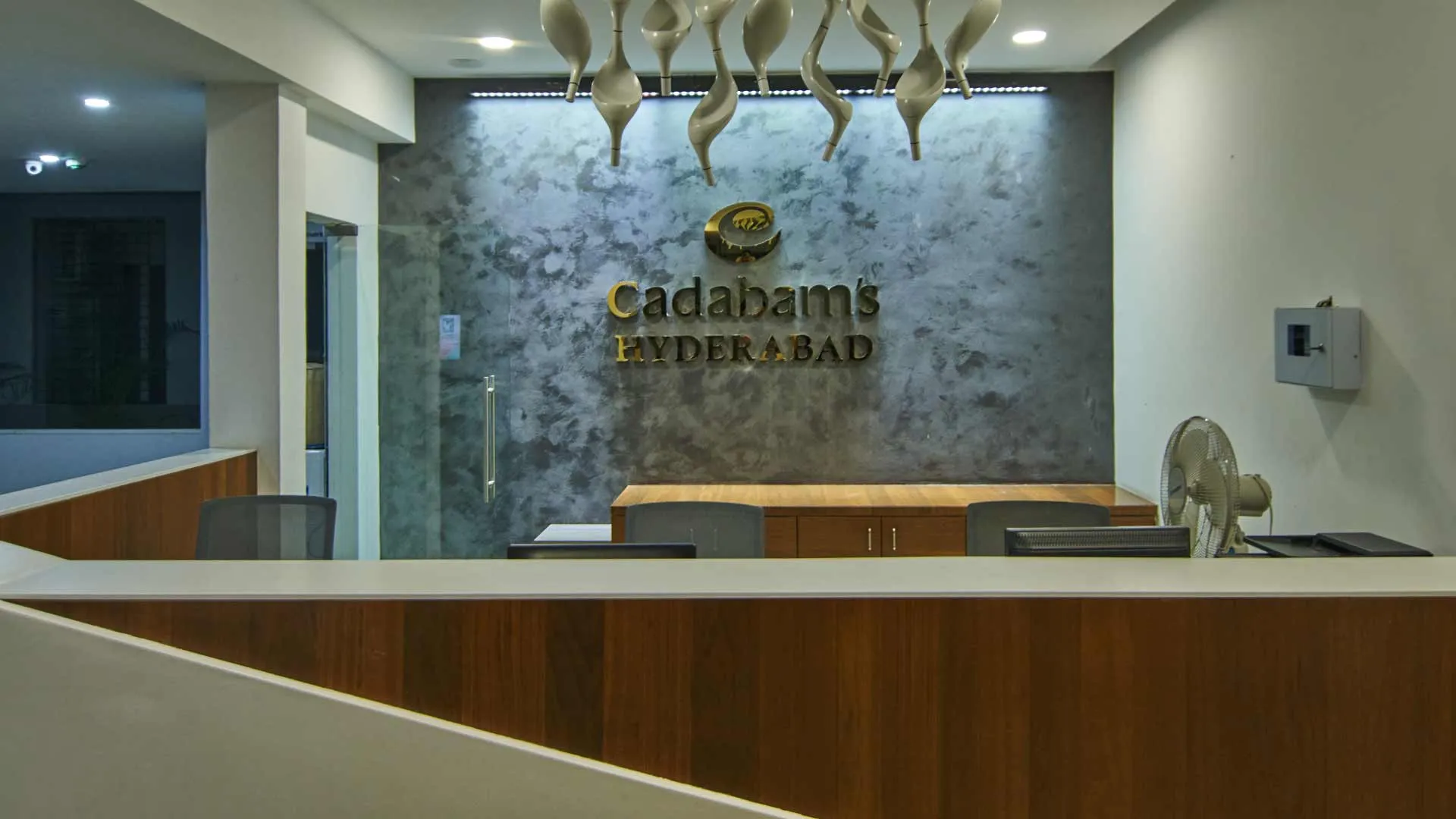 A glimpse of the Centre
